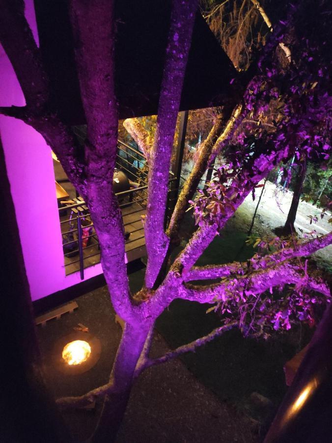 Cabanas San Marcos 마자미틀라 외부 사진